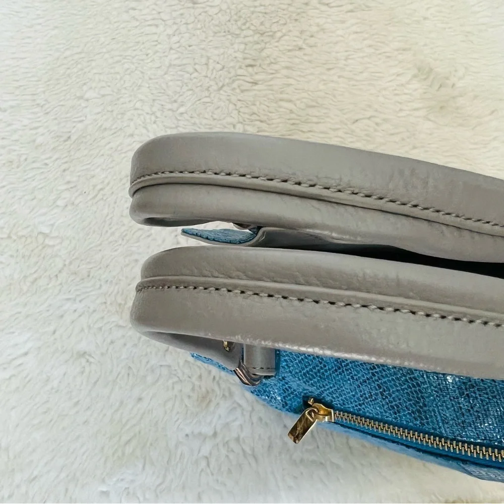 Lupuy Snakes Skin Print Blue/Gray Leather Handbag/Satchels Bag